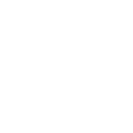 FIat Professional